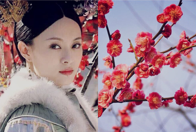 逆风如解意容易莫摧残什么意思