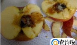 糖尿病酮症酸中毒后有哪些临床表现