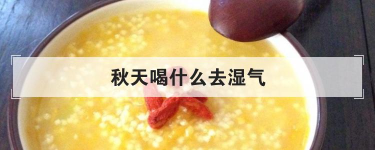 秋天喝什么去湿气