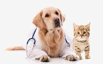 女朋友过生日送什么礼物好