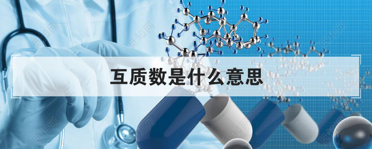 互质数是什么意思