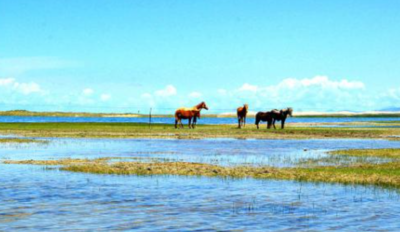 脍炙人口是什么意思