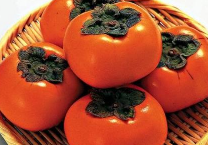 柿子不能和什么一起吃