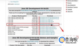 Linux系统中如何安装JDK