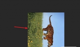 用PS怎样把竖版图片处理为横版图片