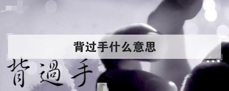 背过手什么意思