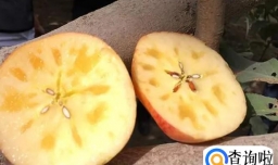 冰糖心苹果是特殊的品种吗