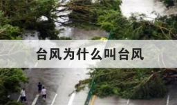 台风为什么叫台风