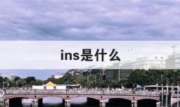 ins是什么