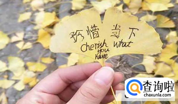 父母平时比较忙不关心自己怎么办