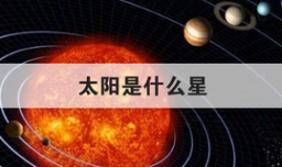 太阳是什么星