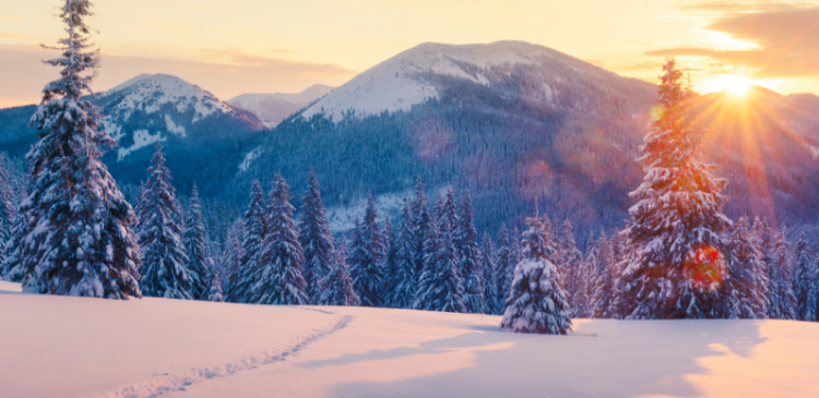 描写冬天景色的优美句子