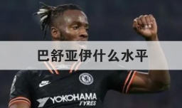 巴舒亚伊什么水平