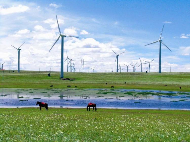 内蒙古人所说的风季是哪个季节