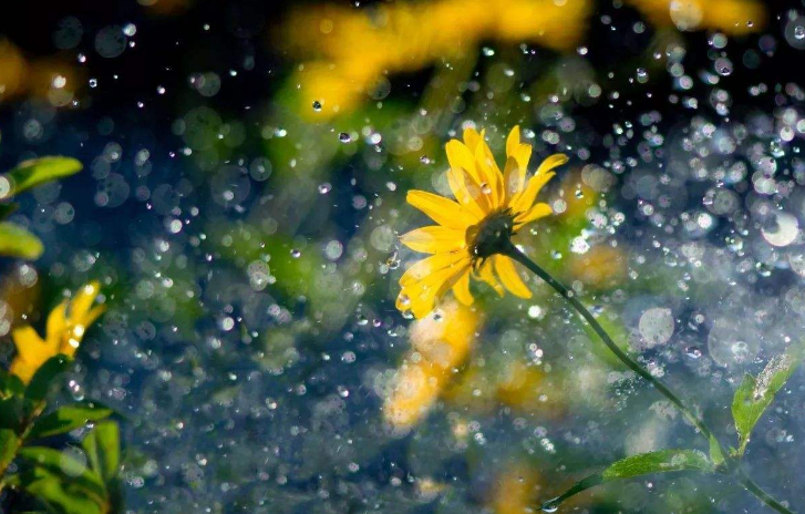 秋雨的特点是什么