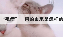 毛病一词的由来是怎样的