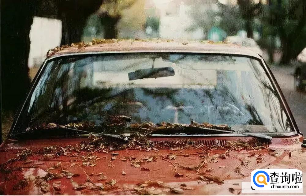 秋天车身上落叶有必要清理吗 蚂蚁庄园