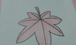 怎么画枫叶简笔画