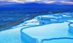 华为荣耀手机无法上网的解决办法