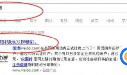 发布新浪微博别人看不到怎么办