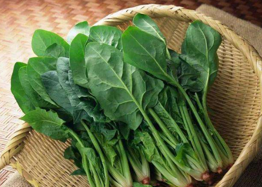 对眼睛最有益的十种食物