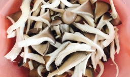 五花肉片炒平菇的家常做法