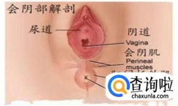 顺产会阴侧切伤口红肿怎么办