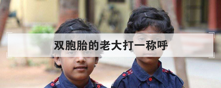 双胞胎的老大打一称呼