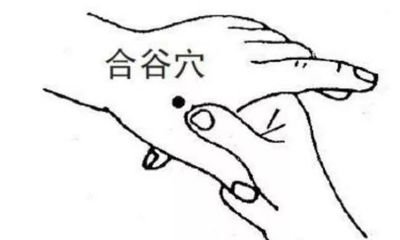 开四关是哪四关