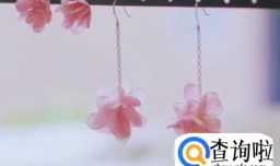 干制樱花，留住美丽