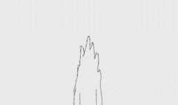 在素描静物如何处理蔬菜细节：大白菜