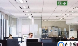 如何适应新时代的工作环境？