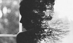 有哪些高逼格的微信头像