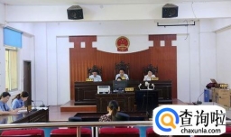 开庭庭审的过程是怎样的