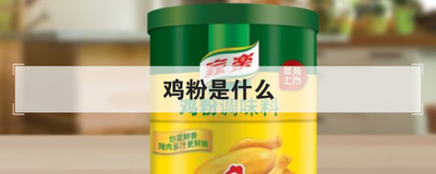 鸡粉是什么