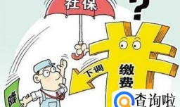 社保缴费怎么计算，社保缴费怎么查询