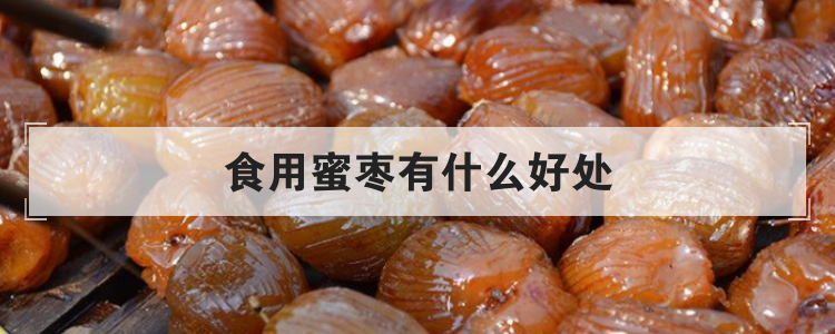 食用蜜枣有什么好处