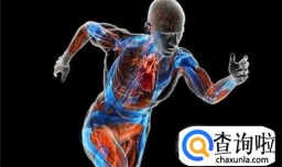 怎么样可以加快新陈代谢