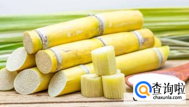 狗狗不能吃哪些水果