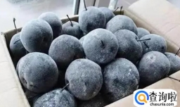 吃冻梨要削皮吗