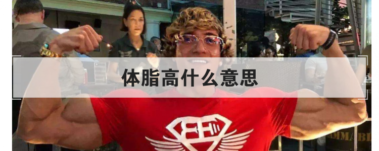 体脂高什么意思