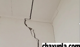 墙上裂出一条缝怎么修补