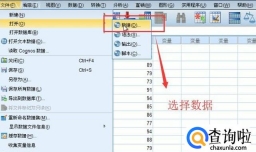如何在SPSS中导入txt文本数据