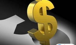 开婚姻介绍所需要什么条件