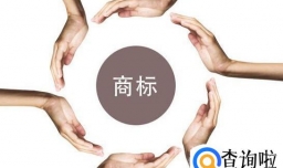 网上如何查询商标注册情况？