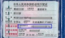 怎么查车辆识别代号
