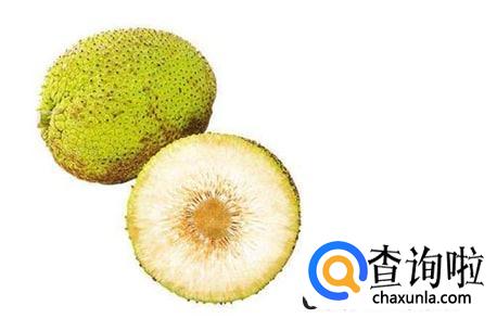 面包果怎么吃好吃