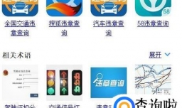 怎么查询驾照有没有违章