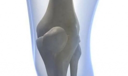 人体各大器官细胞更换所需时间