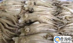 洋葱炒鱿鱼的家常做法 洋葱炒鱿鱼怎么做